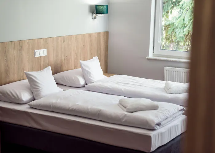 Lawendowy Dwor Pszczółki